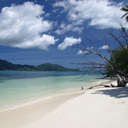 Fairytern Chalets 세르프 아일랜드 외부 사진